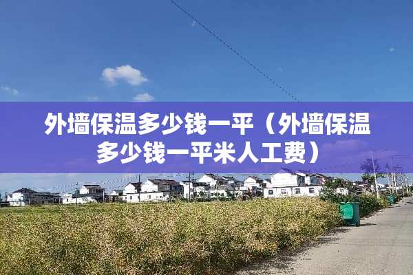外墙保温多少钱一平（外墙保温多少钱一平米人工费）