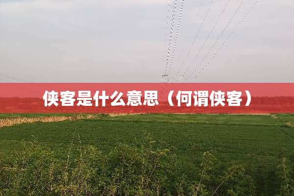 侠客是什么意思（何谓侠客）