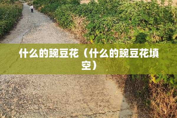 什么的豌豆花（什么的豌豆花填空）