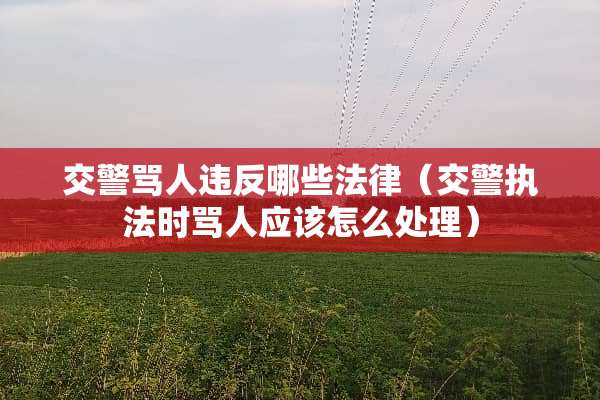 交警骂人违反哪些法律（交警执法时骂人应该怎么处理）