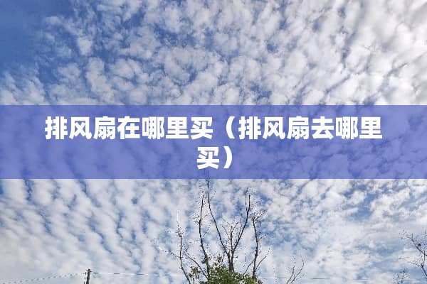 排风扇在哪里买（排风扇去哪里买）