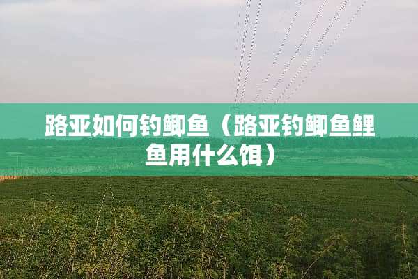 路亚如何钓鲫鱼（路亚钓鲫鱼鲤鱼用什么饵）