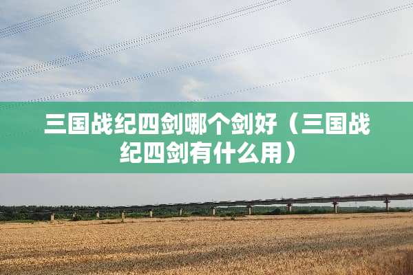 三国战纪四剑哪个剑好（三国战纪四剑有什么用）