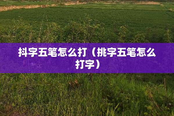 抖字五笔怎么打（挑字五笔怎么打字）