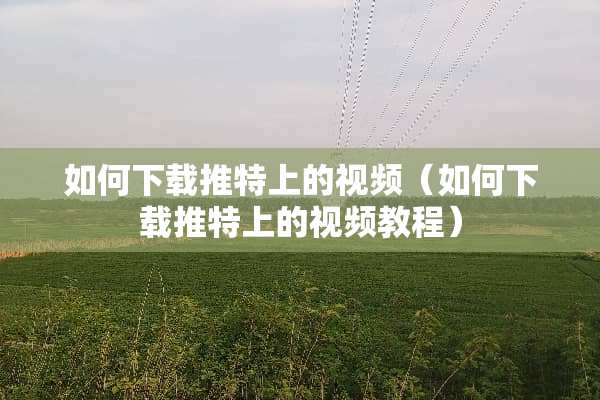 如何下载推特上的视频（如何下载推特上的视频教程）