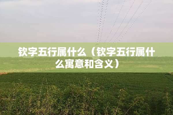 钦字五行属什么（钦字五行属什么寓意和含义）