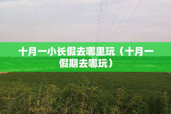 十月一小长假去哪里玩（十月一假期去哪玩）