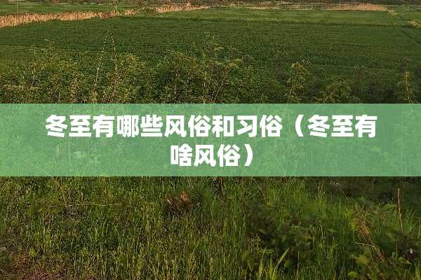 冬至有哪些风俗和习俗（冬至有啥风俗）