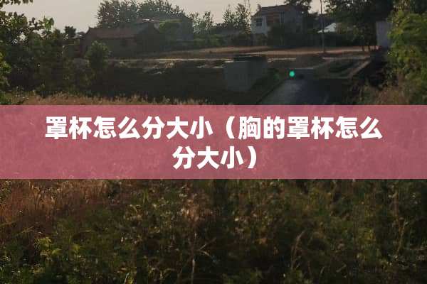 **怎么分大小（胸的**怎么分大小）