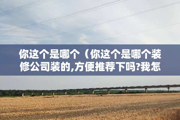 你这个是哪个（你这个是哪个装修公司装的,方便推荐下吗?我怎么回复）