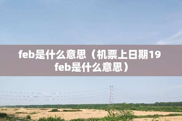 feb是什么意思（机票上日期19 feb是什么意思）