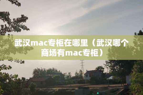 武汉mac专柜在哪里（武汉哪个商场有mac专柜）