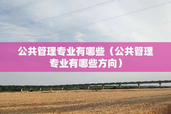 公共管理专业有哪些（公共管理专业有哪些方向）