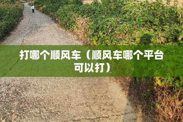 打哪个顺风车（顺风车哪个平台可以打）