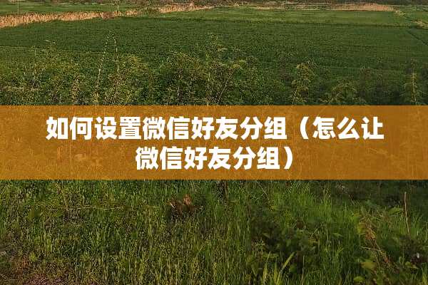 如何设置微信好友分组（怎么让微信好友分组）