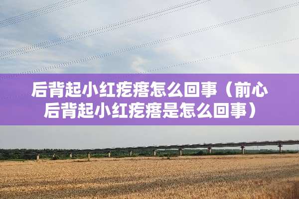 后背起小红疙瘩怎么回事（前心后背起小红疙瘩是怎么回事）