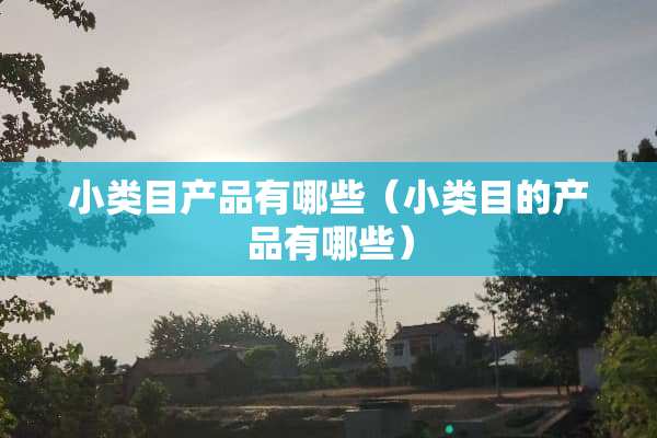 小类目产品有哪些（小类目的产品有哪些）