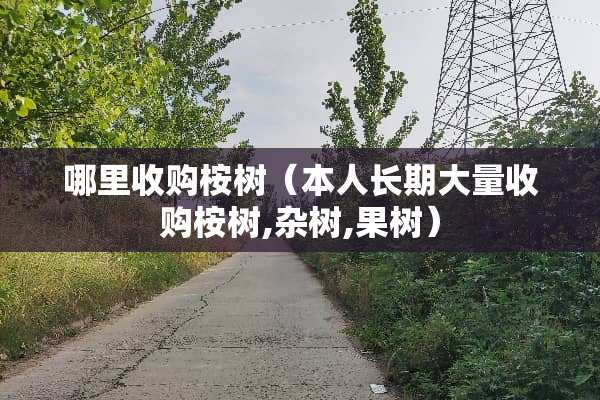 哪里收购桉树（本人长期大量收购桉树,杂树,果树）