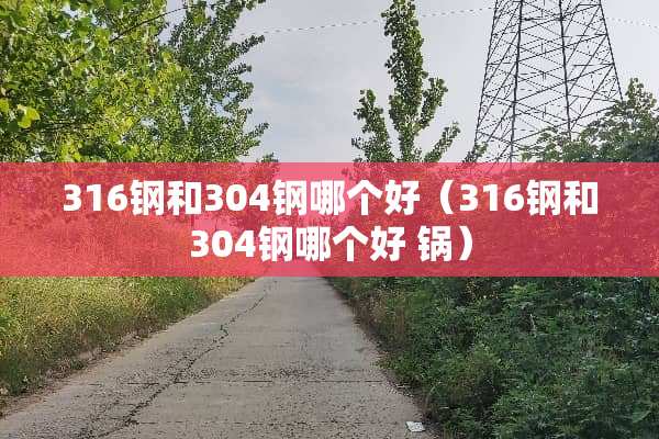 316钢和304钢哪个好（316钢和304钢哪个好 锅）