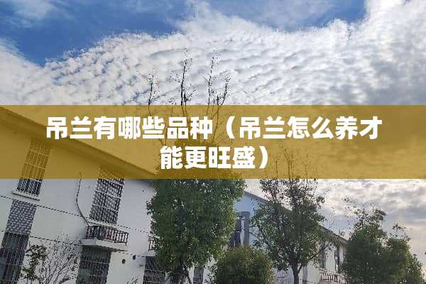 吊兰有哪些品种（吊兰怎么养才能更旺盛）