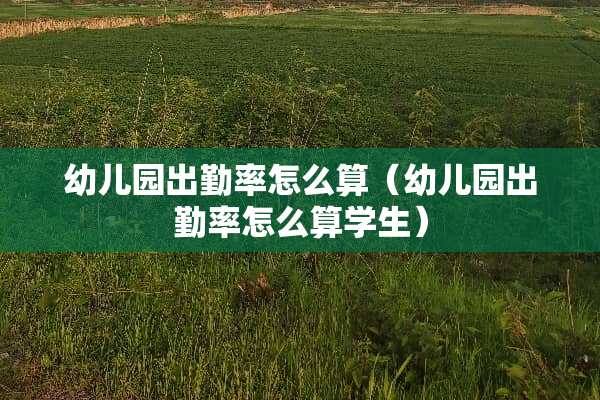 幼儿园出勤率怎么算（幼儿园出勤率怎么算学生）