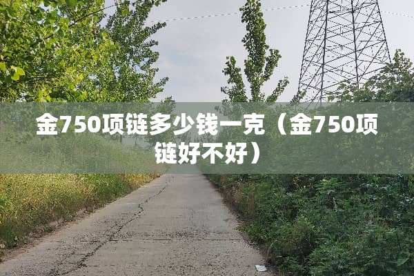 金750项链多少钱一克（金750项链好不好）