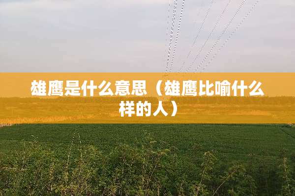 雄鹰是什么意思（雄鹰比喻什么样的人）