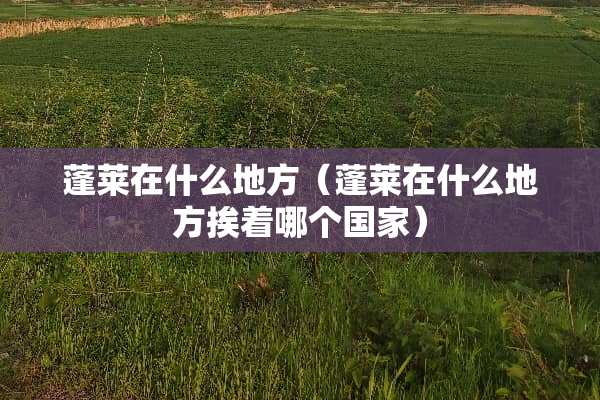 蓬莱在什么地方（蓬莱在什么地方挨着哪个国家）
