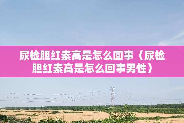 尿检胆红素高是怎么回事（尿检胆红素高是怎么回事男性）