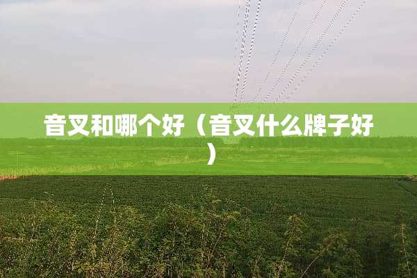 音叉和哪个好（音叉什么牌子好）