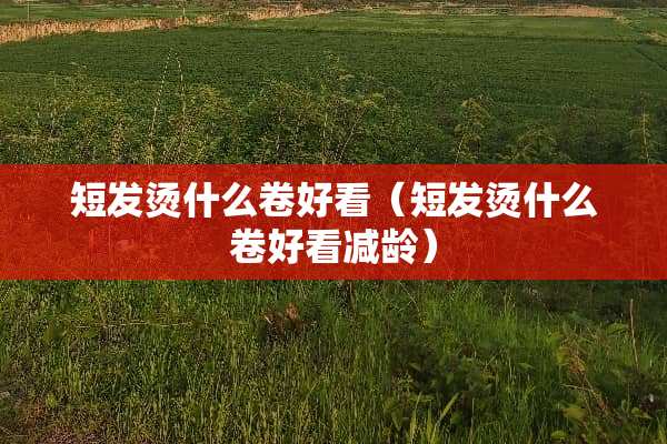 短发烫什么卷好看（短发烫什么卷好看减龄）