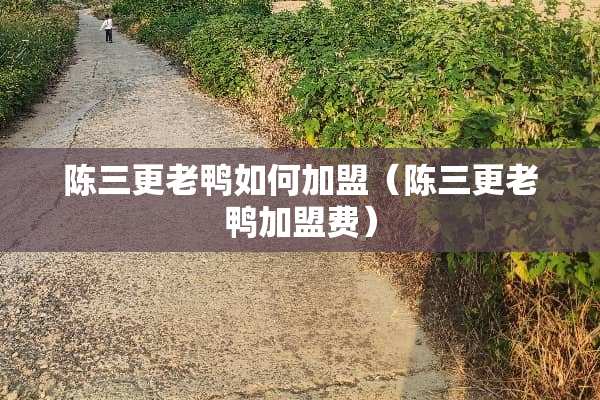 陈三更老鸭如何加盟（陈三更老鸭加盟费）