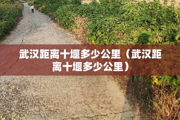 武汉距离十堰多少公里（武汉距离十堰多少公里）