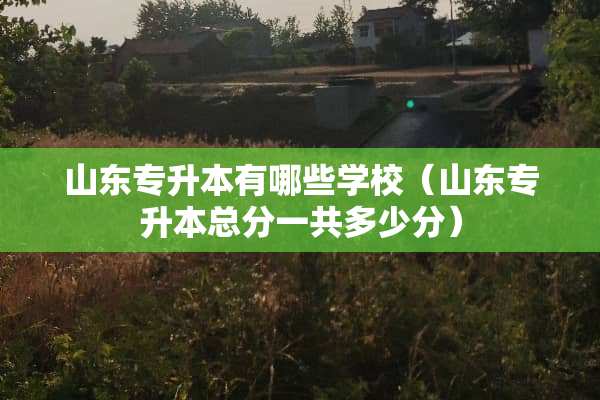 山东专升本有哪些学校（山东专升本总分一共多少分）