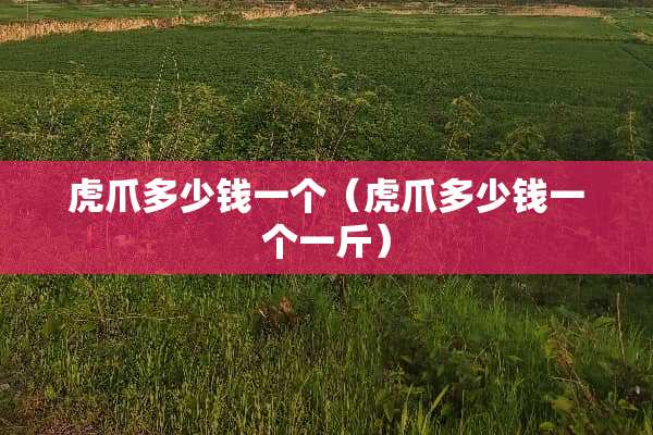 虎爪多少钱一个（虎爪多少钱一个一斤）