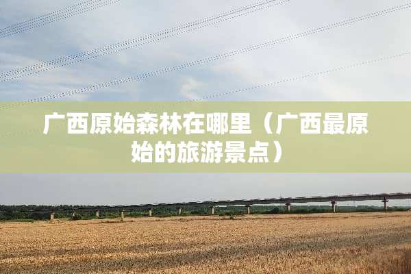 广西原始森林在哪里（广西最原始的旅游景点）