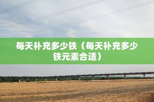 每天补充多少铁（每天补充多少铁元素合适）