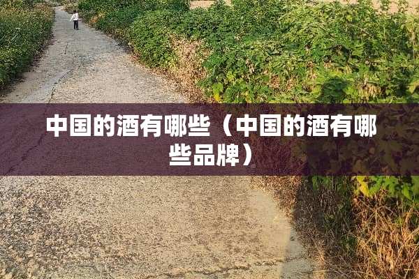 中国的酒有哪些（中国的酒有哪些品牌）