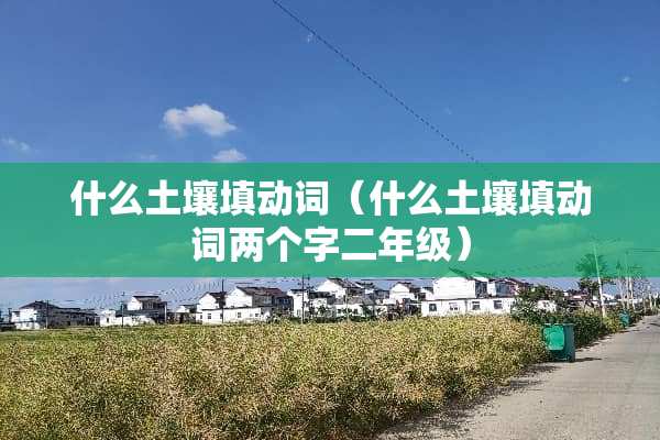 什么土壤填动词（什么土壤填动词两个字二年级）
