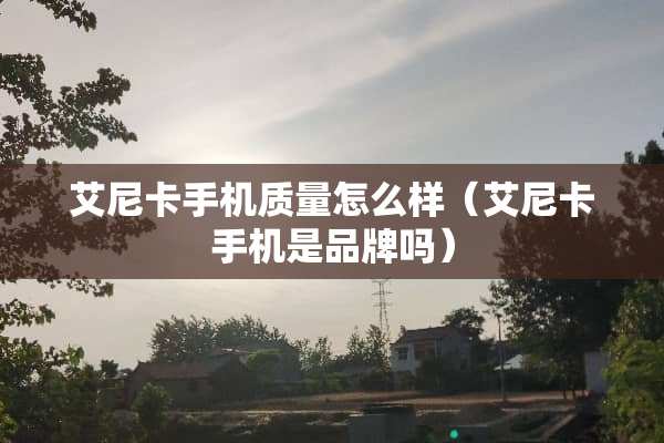 艾尼卡手机质量怎么样（艾尼卡手机是品牌吗）