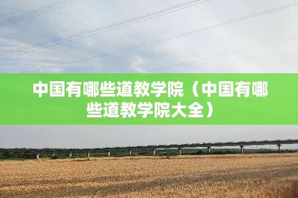 中国有哪些道教学院（中国有哪些道教学院大全）