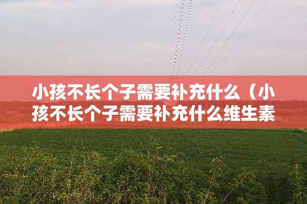 小孩不长个子需要补充什么（小孩不长个子需要补充什么维生素）