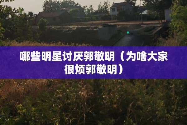 哪些明星讨厌郭敬明（为啥大家很烦郭敬明）