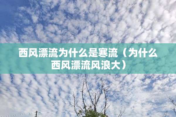 西风漂流为什么是寒流（为什么西风漂流风浪大）