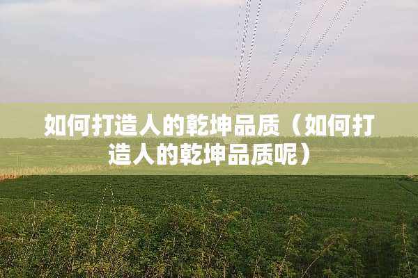 如何打造人的乾坤品质（如何打造人的乾坤品质呢）