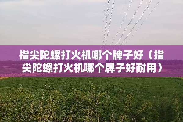 指尖陀螺打火机哪个牌子好（指尖陀螺打火机哪个牌子好耐用）