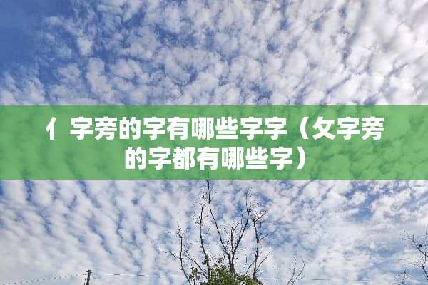 亻字旁的字有哪些字字（攵字旁的字都有哪些字）