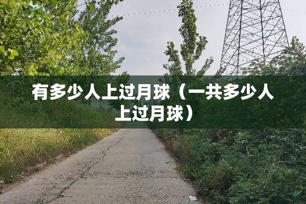 有多少人上过月球（一共多少人上过月球）