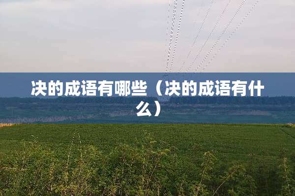 决的成语有哪些（决的成语有什么）
