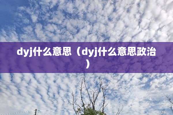 dyj什么意思（dyj什么意思政治）